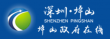 深圳坪山区政府